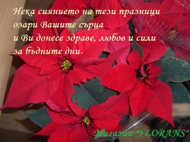 Florans magazin