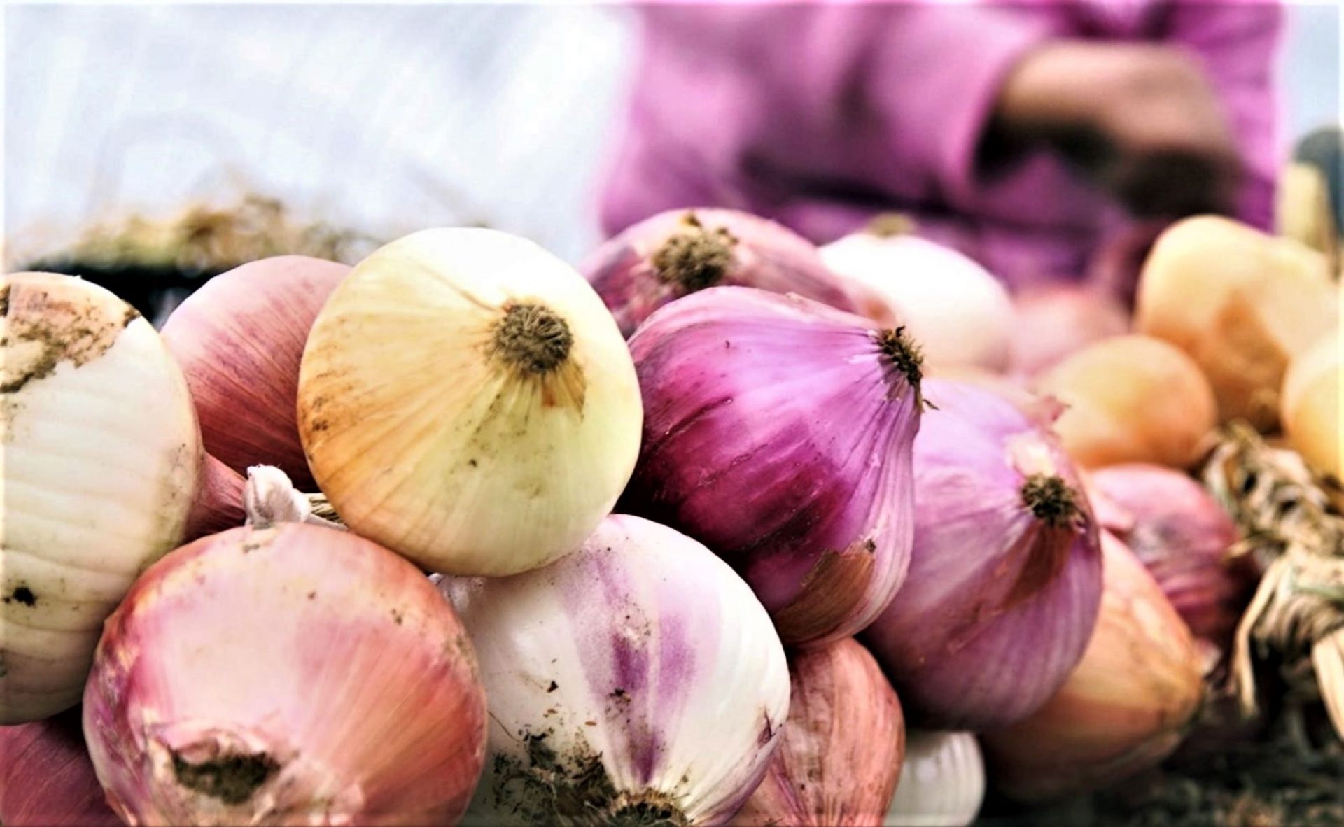 773